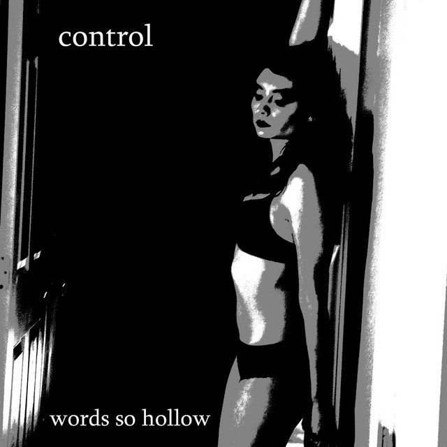 Words so Hollow song and lyrics by Control Spotify