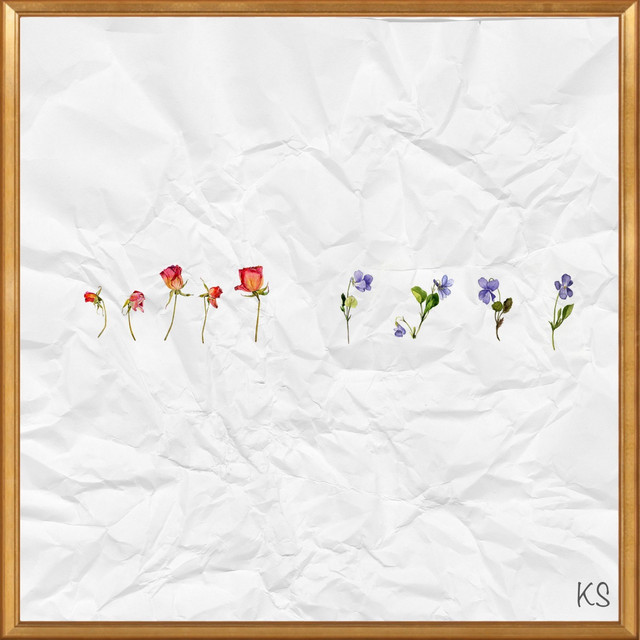 Roses Vs Violets Single by KS Spotify