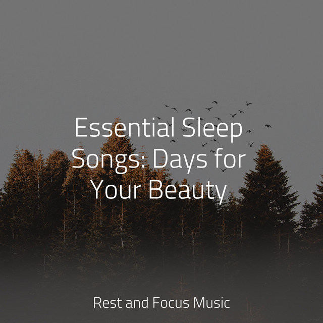 Essential Sleep Songs Days for Your Beauty Album by Life Sounds