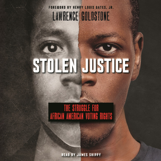 Chapter 19 Stolen Justice The Struggle for African American Voting