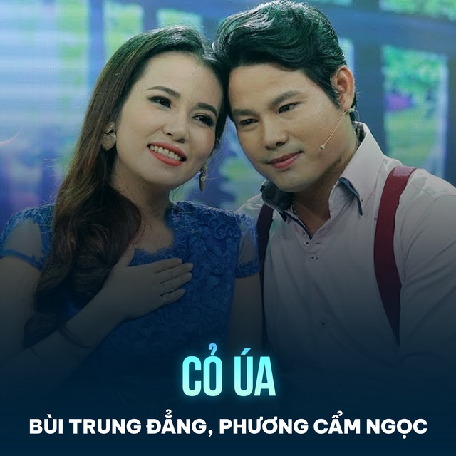 Cỏ Úa song and lyrics by Bùi Trung Đẳng, Phuong Cam Ngoc Spotify