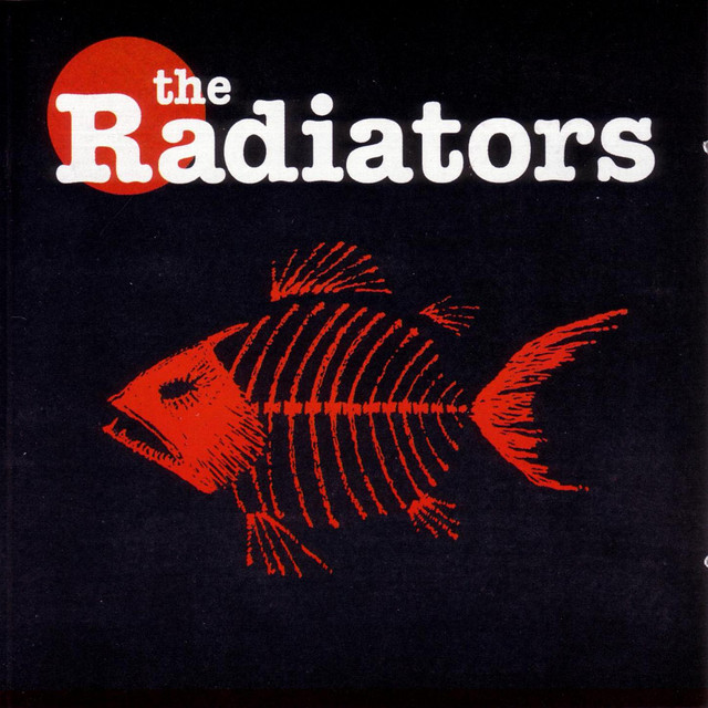 Salty Jane song and lyrics by The Radiators Spotify