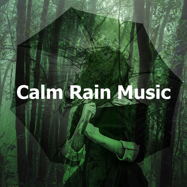 Beautiful Showers song and lyrics by Calming Music Academy Spotify
