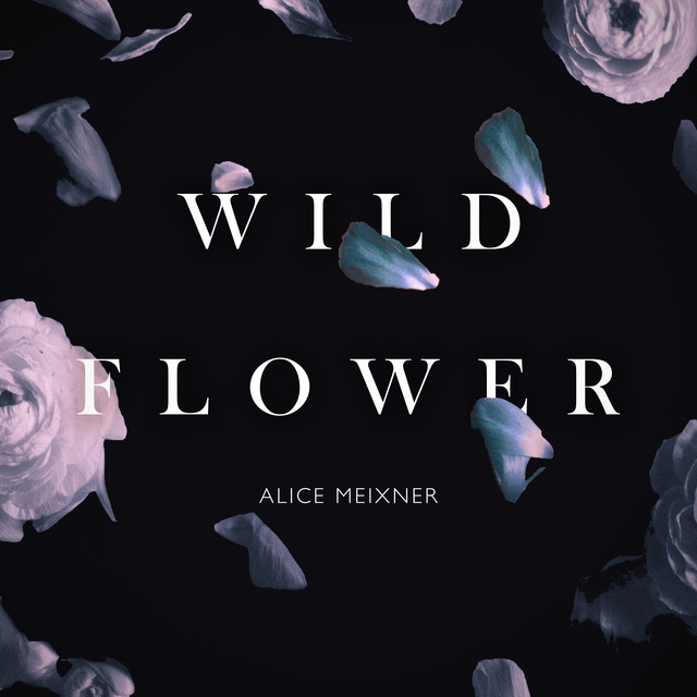 Wildflower Album by Alice Meixner Spotify