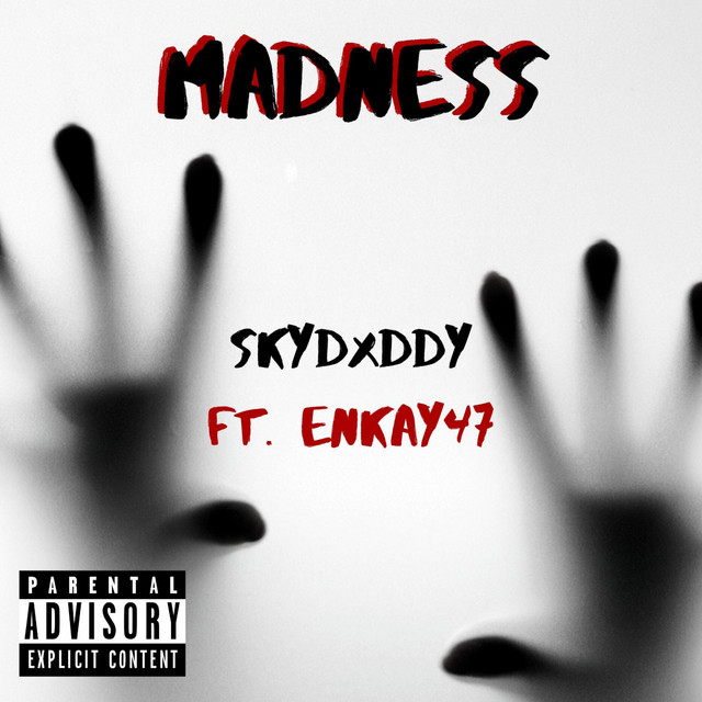 Madness song and lyrics by SkyDxddy, Enkay47 Spotify