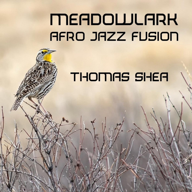 Meadowlark Afro Jazz Fusion Album by Thomas Shea Spotify