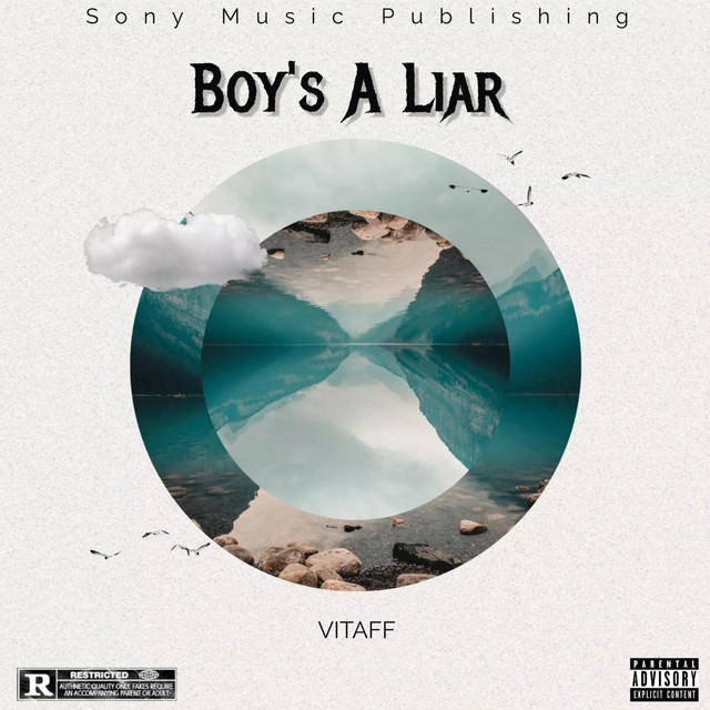 Boy's A Liar Vitaff Remix song by Vitaff Spotify