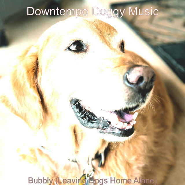 Do Dogs Like Music When Home Alone