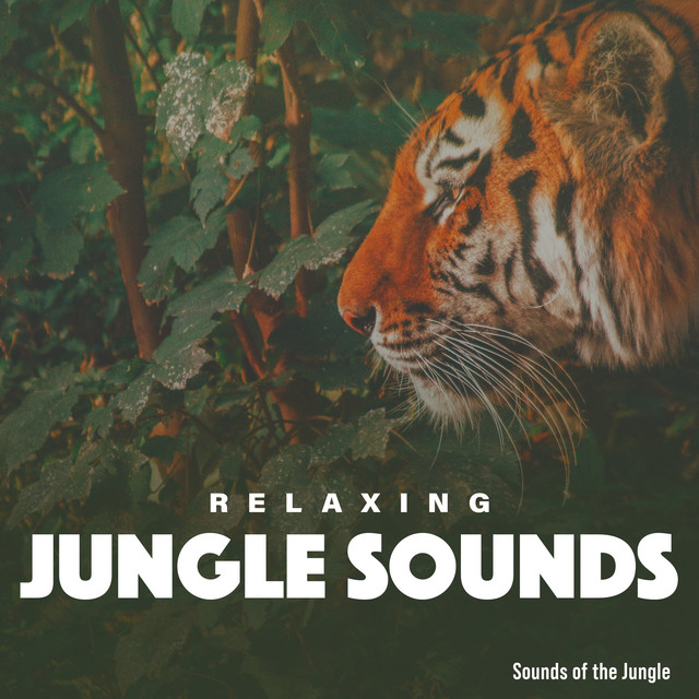 Relaxing Jungle Sounds Album by Sounds of the Jungle Spotify