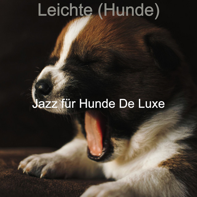 Reine (Hunde) song and lyrics by Jazz für Hunde De Luxe Spotify