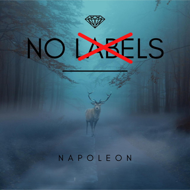No Labels Single by Napoleon Spotify