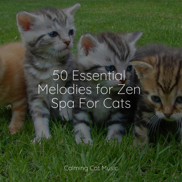 50 Essential Melodies for Zen Spa For Cats Album by Cat Music Therapy