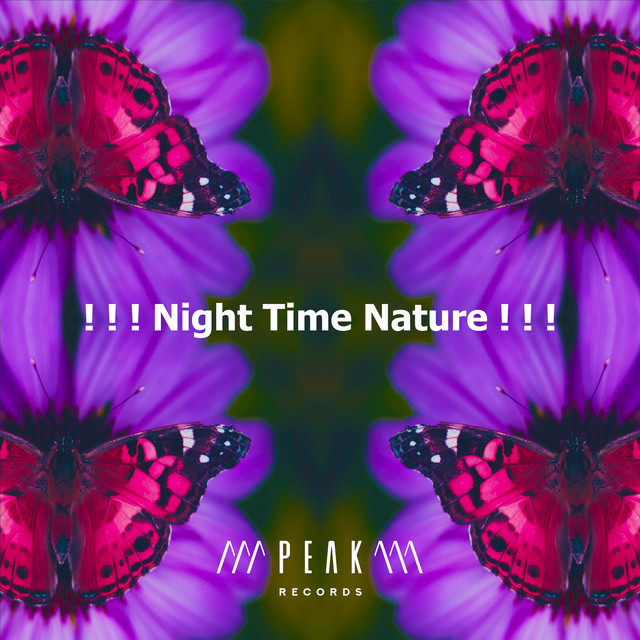 Night Time Nature ! ! ! Album by Sleep Sounds of Nature Spotify