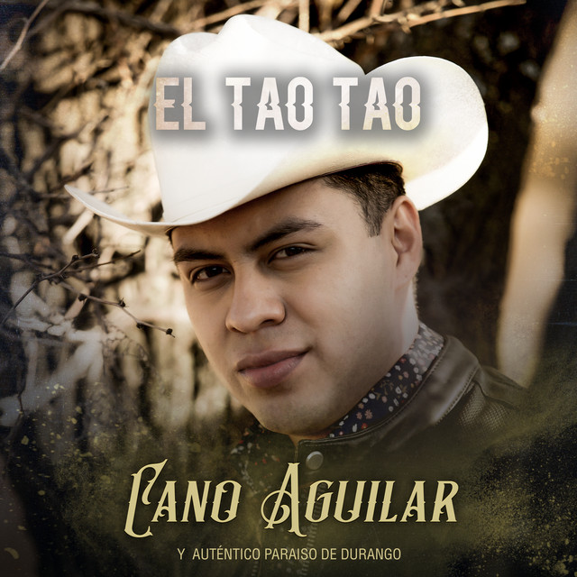 El Tao Tao Single by Cano Aguilar Spotify