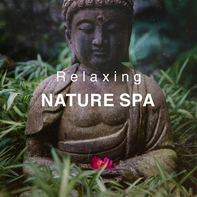 Relaxing Nature Spa ! ! ! ! Album by Spa, Relaxation and Dreams Spotify