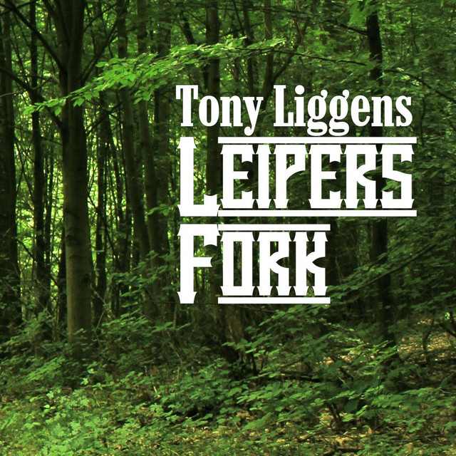 Leipers Fork Album by Tony Liggens Spotify