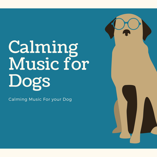 Does Calming Dog Music Really Work