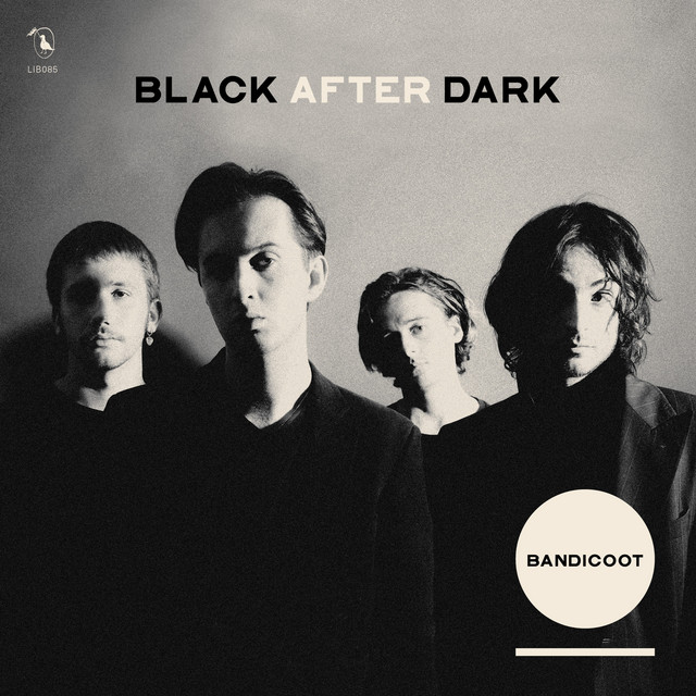 Black After Dark Album by Bandicoot Spotify