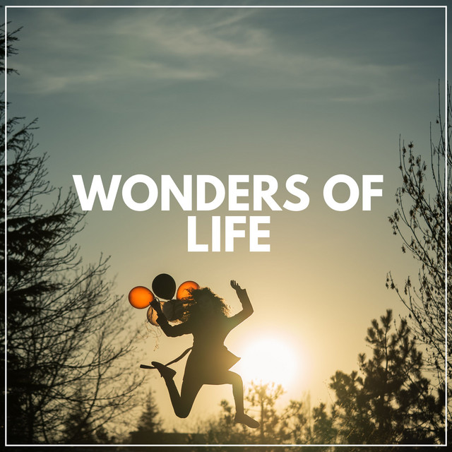 Wonders of Life Album by Zen Arena Spotify