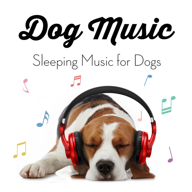 Can Music Calm Dogs