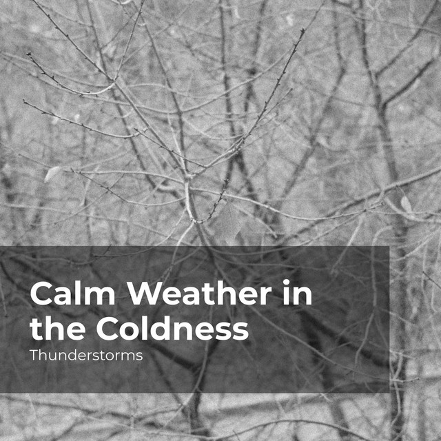 Calm Weather in the Coldness Album by Thunderstorms Spotify