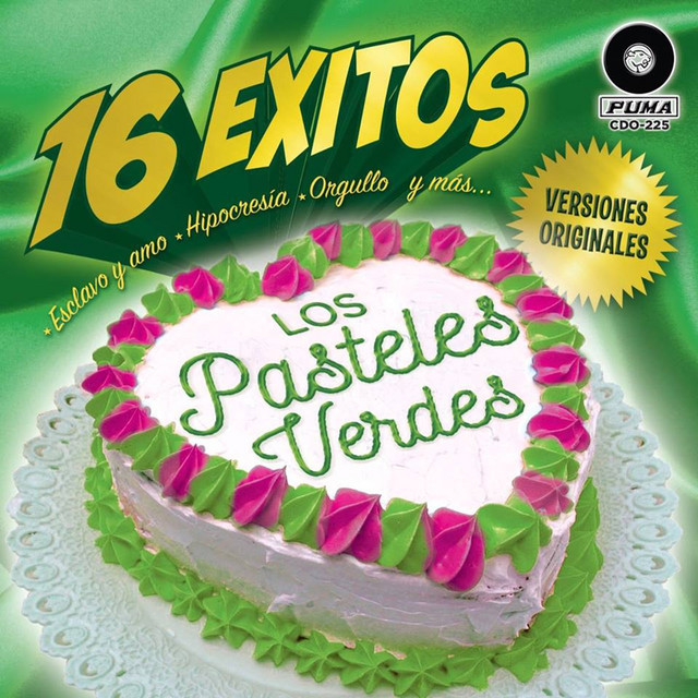 Amplia gama Imaginación calcetines los pasteles verdes quinto patio