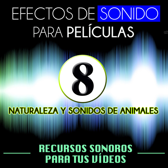 Efectos de Sonido para Películas. Recursos Sonoros para Tus Videos Vol