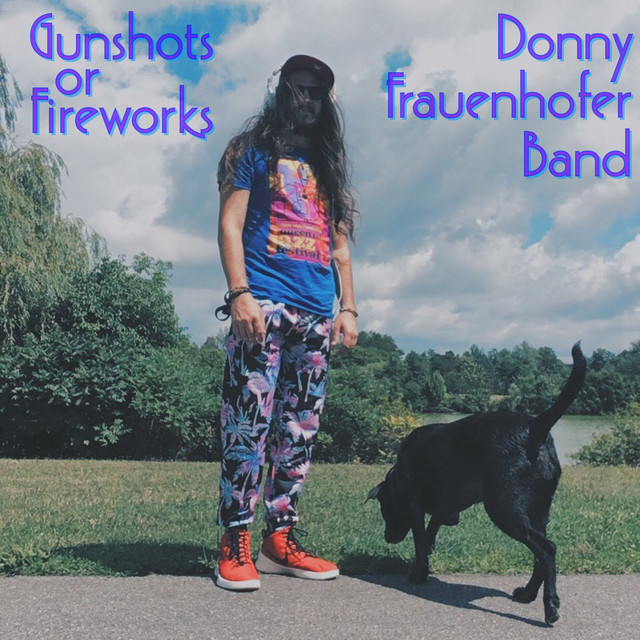 Gunshots or Fireworks song by Donny Frauenhofer Spotify