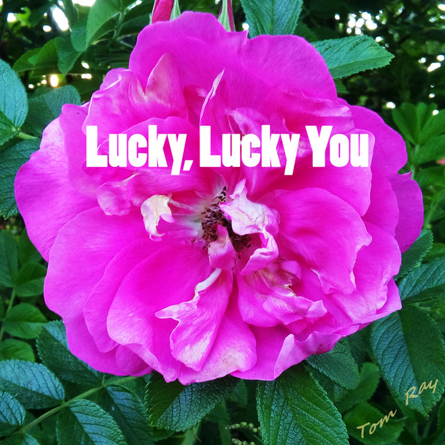 Lucky, Lucky You Single by Tom Ray Spotify