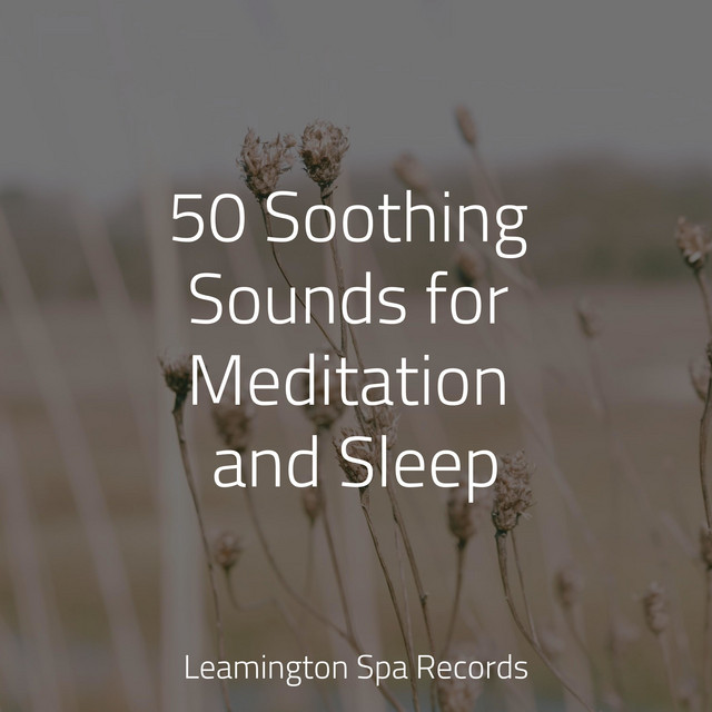 50 Soothing Sounds for Meditation and Sleep Album by Water