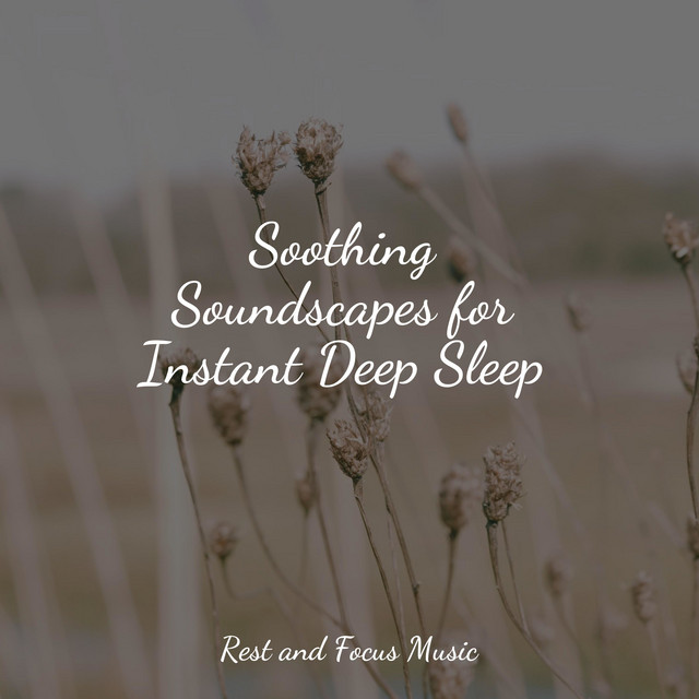 Soothing Soundscapes for Instant Deep Sleep Album by Baby Relax Music