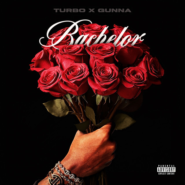 Bachelor Single by Turbo Spotify