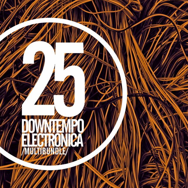 25 Downtempo Electronica Multibundle Compilation by Various Artists