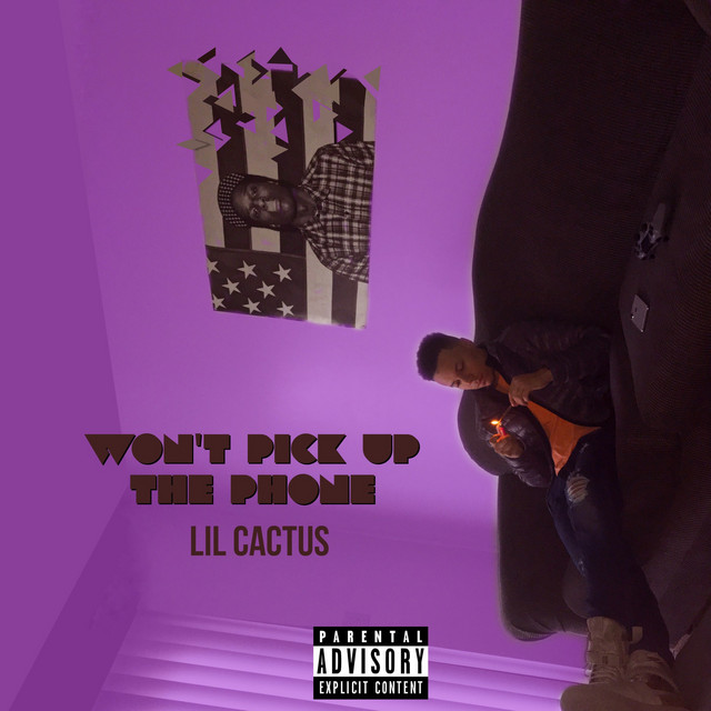 Won't Pick up the Phone Single by Lil Cactus Spotify