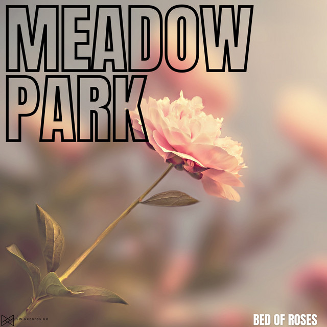 Bed Of Roses song and lyrics by Meadow Park Spotify