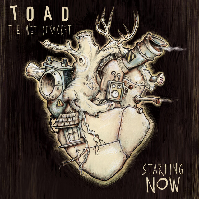 Starting Now song and lyrics by Toad The Wet Sprocket Spotify