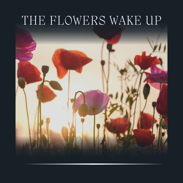The Flowers Wake Up Album by Mother Nature Recordings Spotify