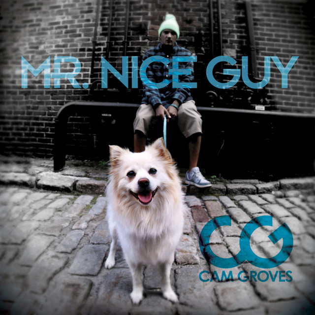 Mr. Nice Guy Álbum de Cam Groves Spotify