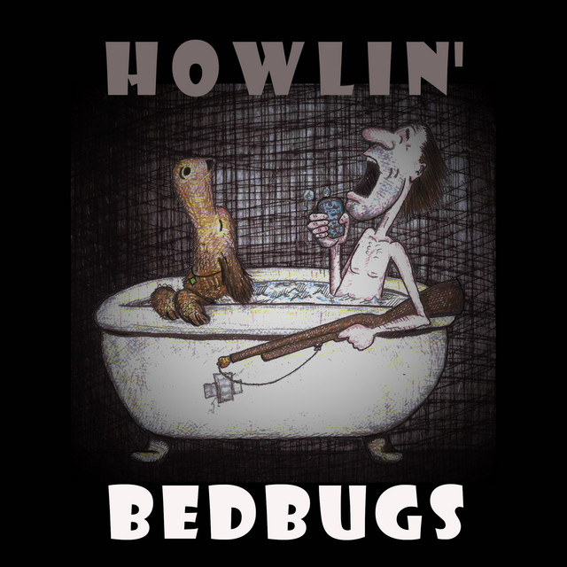 I Think It's Safe song and lyrics by The Bedbugs Spotify