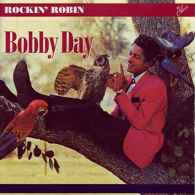 Rockin' Robin song and lyrics by Bobby Day Spotify