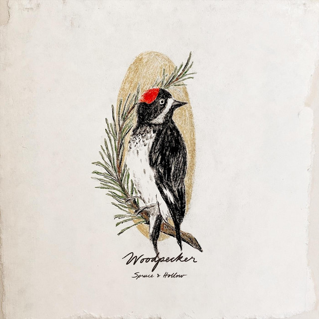 Woodpecker Single by Spruce & Hollow Spotify