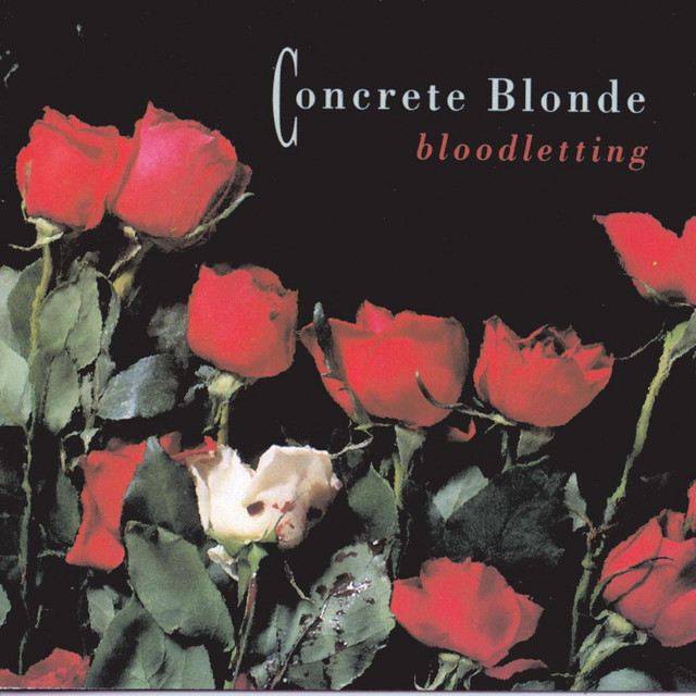 Joey song and lyrics by Concrete Blonde Spotify
