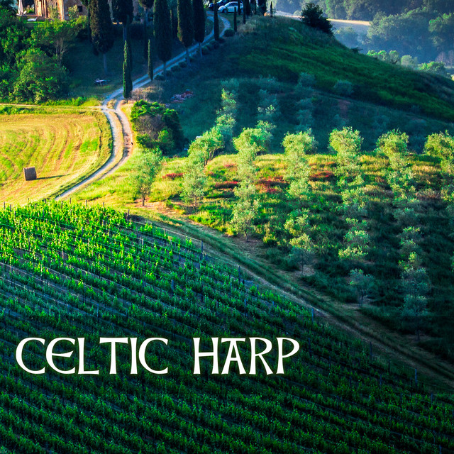 Celtic Harp Dinner Party Music Irish Harp Folk Song song and lyrics
