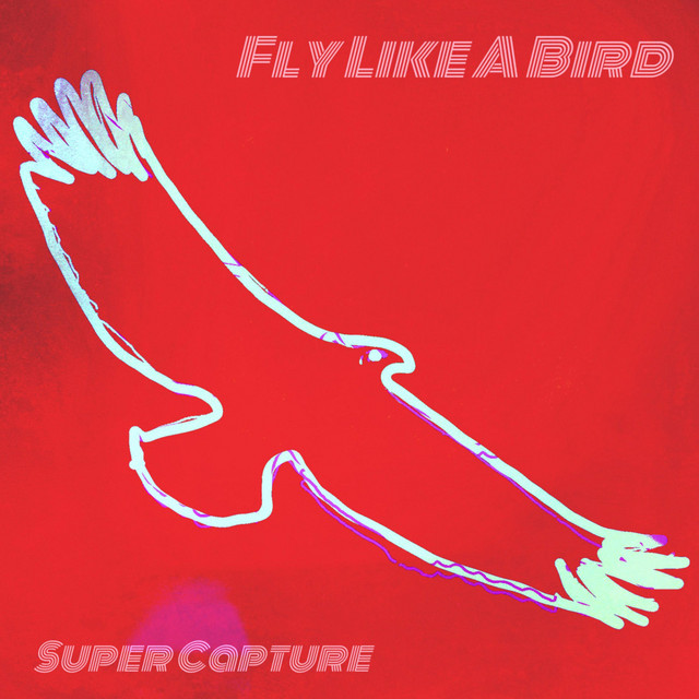 Fly Like a Bird Single by Super Capture Spotify