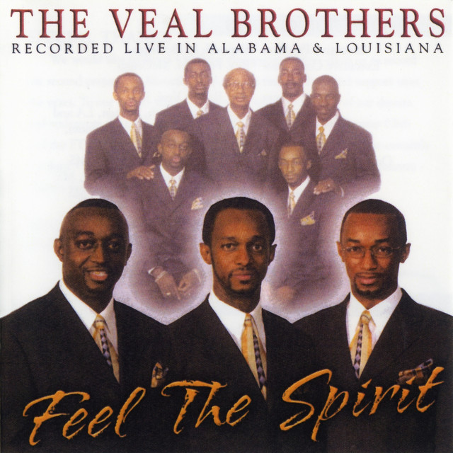 I Want You to Meet Me song by The Veal Brothers Spotify
