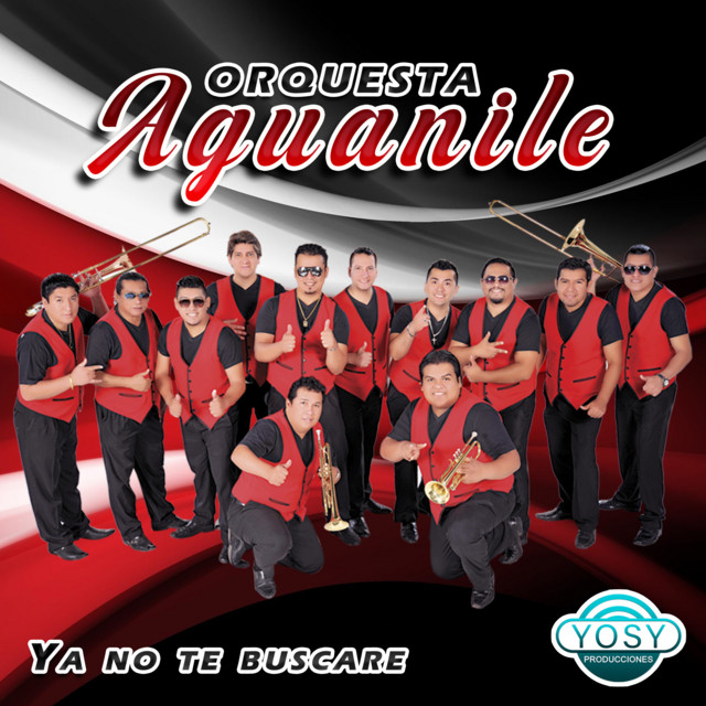 Te Amo song and lyrics by Orquesta Aguanile Spotify
