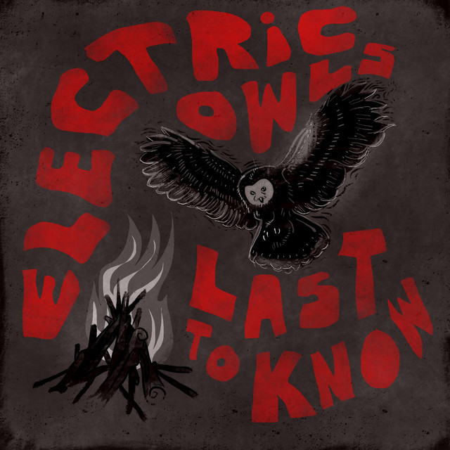 Electric Owls on Spotify