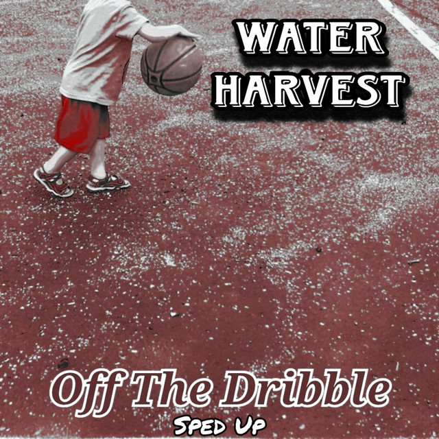 Jul 02, 2010 "Astral Harvest Festival" / Vibesquad at North Country