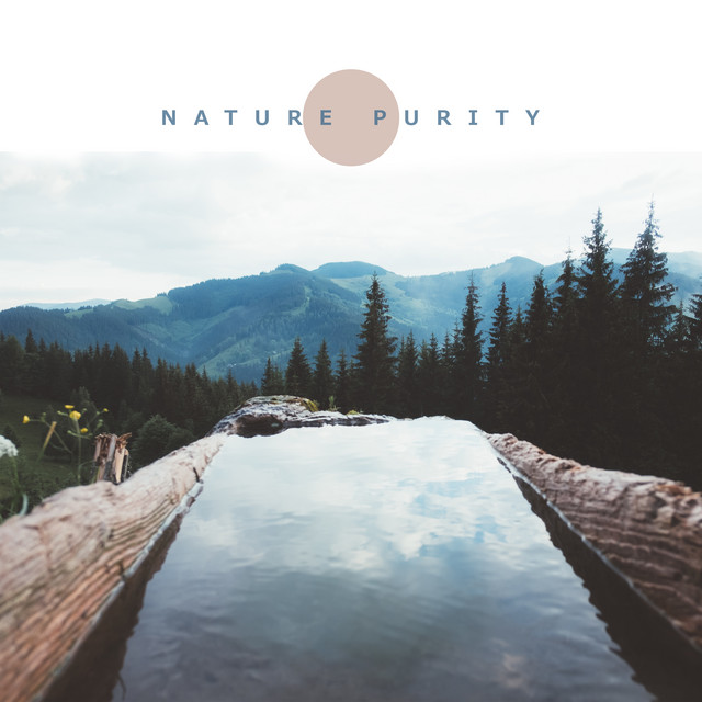 Lotus Flower song and lyrics by Rest & Relax Nature Sounds Artists