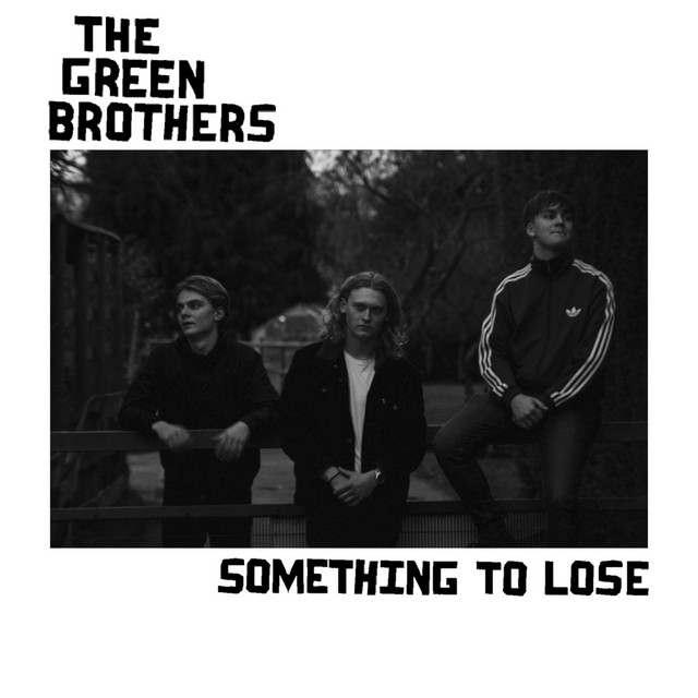 Something To Lose Single by The Green Brothers Spotify